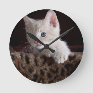 Relógio Redondo Gatinho Fofo Olhando