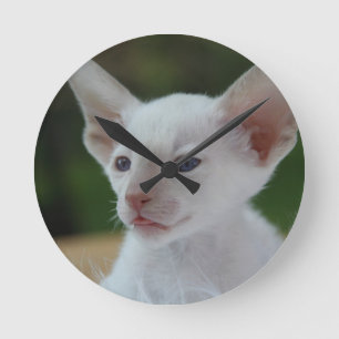 Relógio Redondo Gatinho Siamês Branco Fofo
