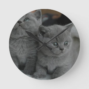 Relógio Redondo gato bonito do gatinho novo do meow do purr do
