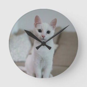 Relógio Redondo Gato branco Zazzle_Growth.