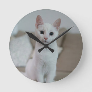 Relógio Redondo Gato branco Zazzle_Growth.