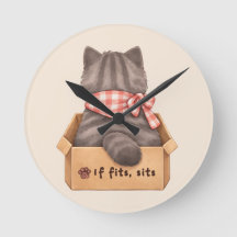 Gato na Caixa