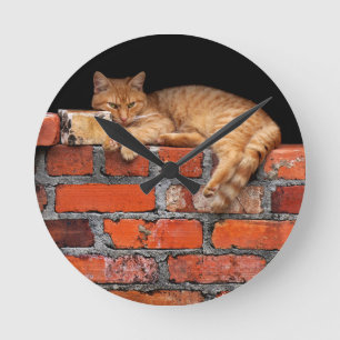 Relógio Redondo Gato na Parede Brick