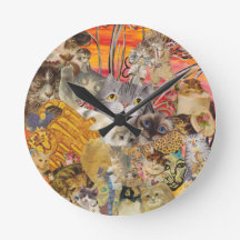 Gatos uma abundância