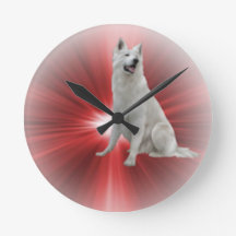 German shepherd branco