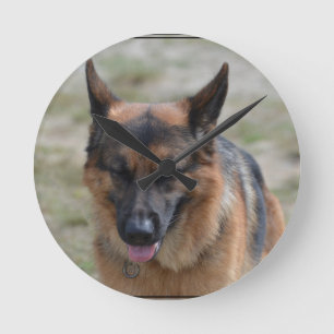 Relógio Redondo German shepherd surpreendente