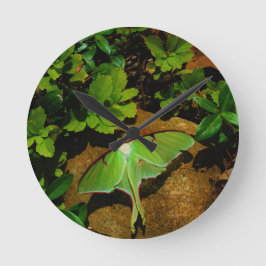 Relógio Redondo Giant Green Luna moth