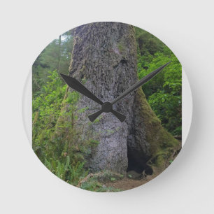Relógio Redondo Giant Spruce Tree, Cabo Perpétua, Oregon
