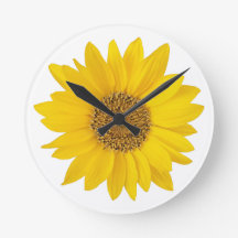 Girassol Amarelo Brilhante no Fundo Branco