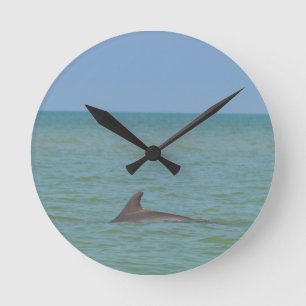 Relógio Redondo Golfinho em Sanibel
