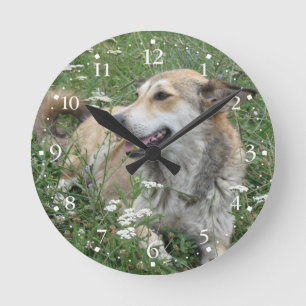 Relógio Redondo Grama verde Clockface 1 do cão bonito