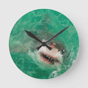 Relógio Redondo Grande branco Shark1