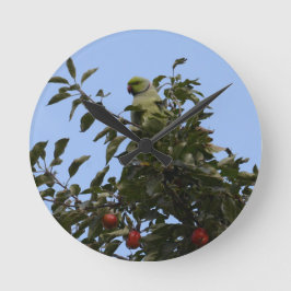Relógio Redondo Green Parakeet