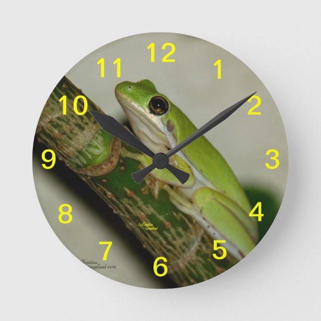 Relógio Redondo Green tree frog Wall Clock (Frente)