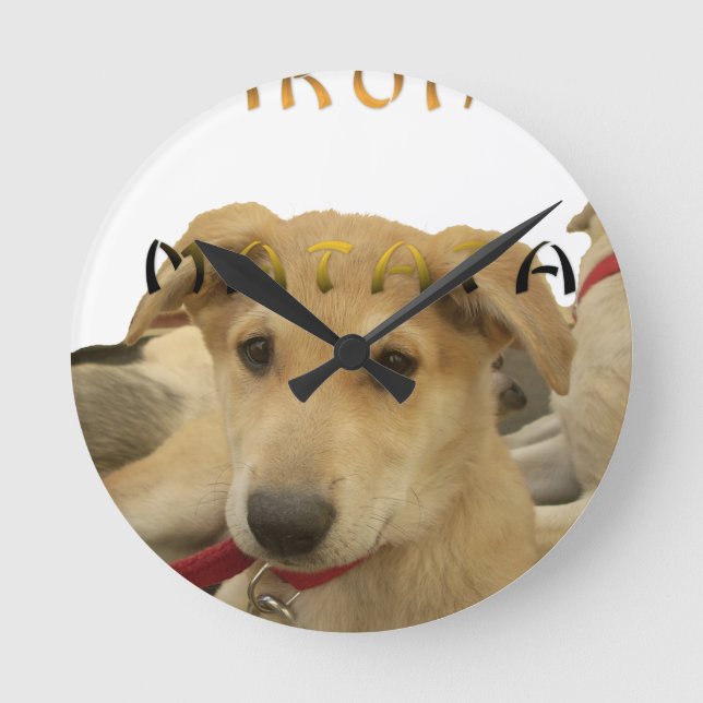 Relógio Redondo "Hakuna Matata Pup" - Amor Sem Preocupação (Frente)