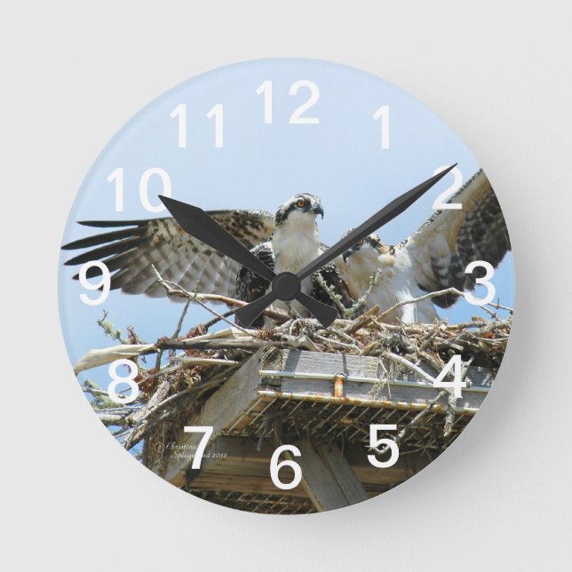 Relógio Redondo Hawks Ospreys Wall Clock (Frente)