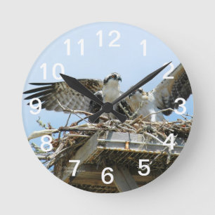 Relógio Redondo Hawks Ospreys Wall Clock