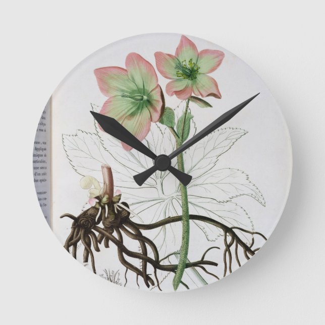 Relógio Redondo Helleborus Niger de "Phytographie Medicale" por J (Frente)