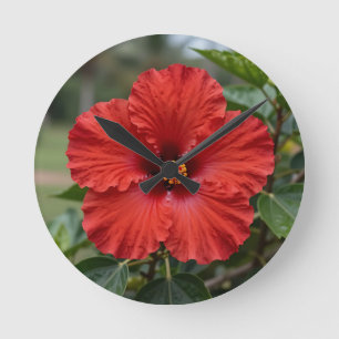 Relógio Redondo Hibisco Tropical Vermelho Vibrante em Flor