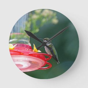 Relógio Redondo Hummingbird