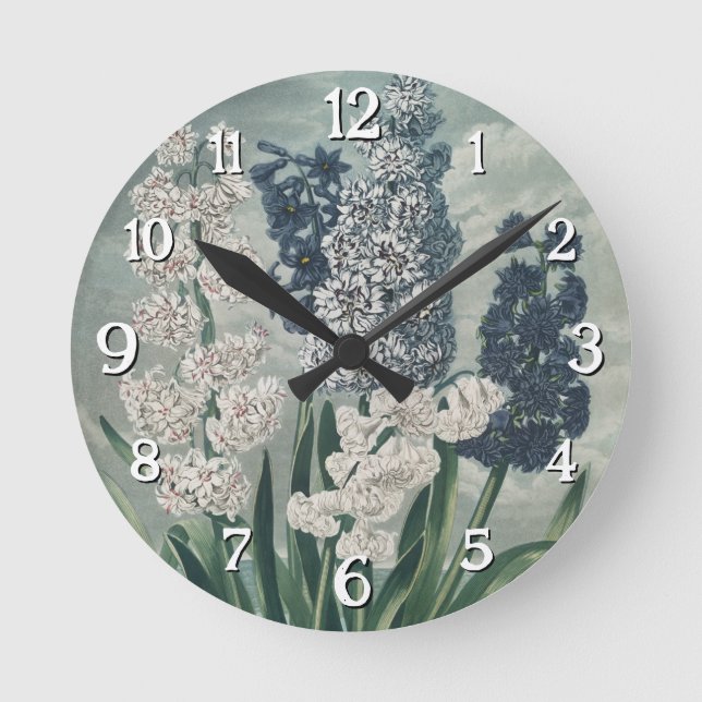 Relógio Redondo Hyacinths (1807) - Exquisite Vintage Botânica (Frente)