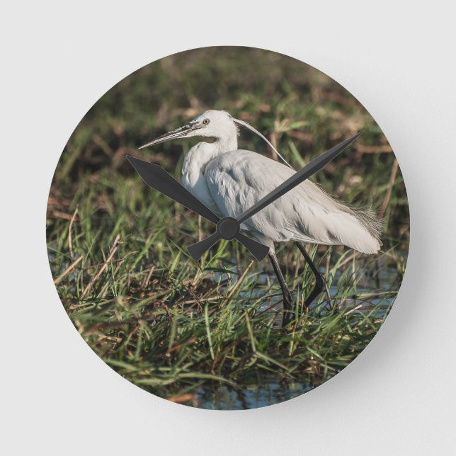 Relógio Redondo Igrid (Frente)