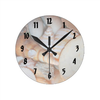 Relógio Redondo imagens de conchas da flórida de muitos conchas