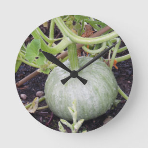 Relógio Redondo Jardim: Cultivando Abóbora