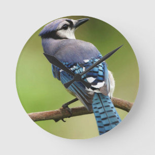 Relógio Redondo Jay azul que pensa de você pai da mamã da família