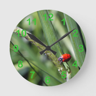 Relógio Redondo Joaninha (Coccinellidae)