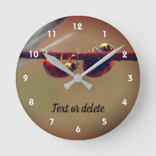 Relógio Redondo Ladybugs Balancing Close Up Personalized