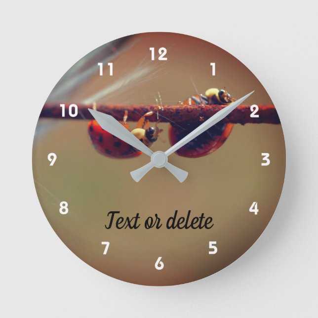 Relógio Redondo Ladybugs Balancing Close Up Personalized (Frente)