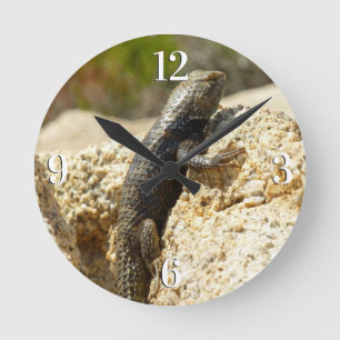 Relógio Redondo Lagarto Espinhoso de Dorso Amarelo em Joshua Tree