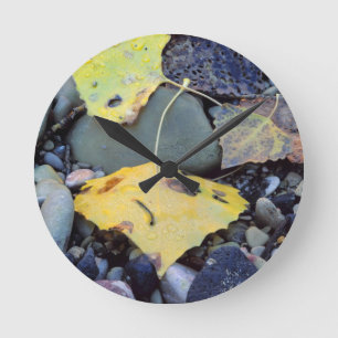 Relógio Redondo Leaf of Fremont cottonwood on flood plain