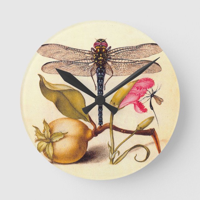 Relógio Redondo Libélula Arte Botânico da Natureza Hoefnagel (Frente)