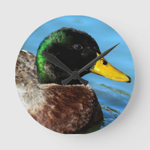 Relógio Redondo Mallard em Cima