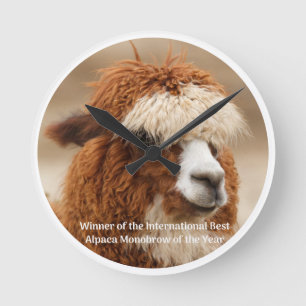 Relógio Redondo Melhor Sobrancelha Única de Alpaca