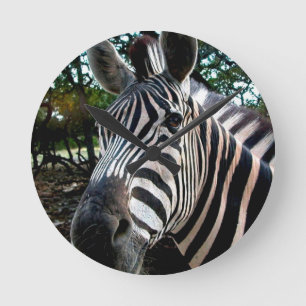 Relógio Redondo Meu Amigo De Disquete