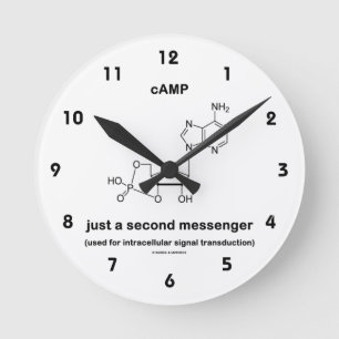 Relógio Redondo Molécula do cAMP apenas um segundo Messenger