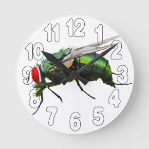Relógio Redondo Moscas de Tempo