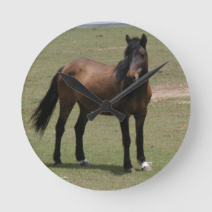 Relógio Redondo Mustang de Nacoma