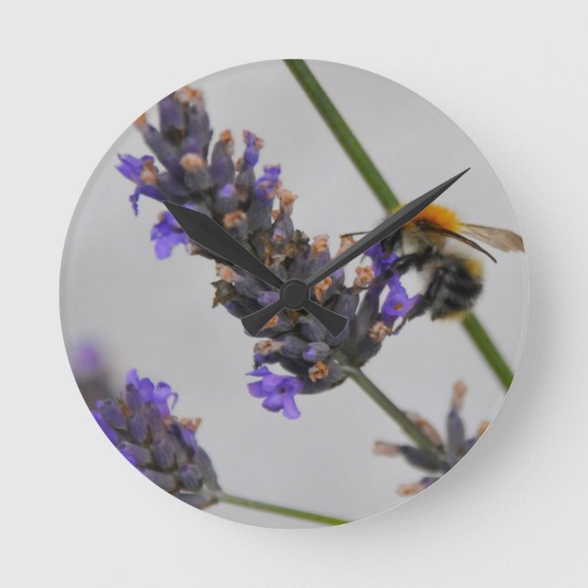 Relógio Redondo Natures Wonderful Workers (Frente)