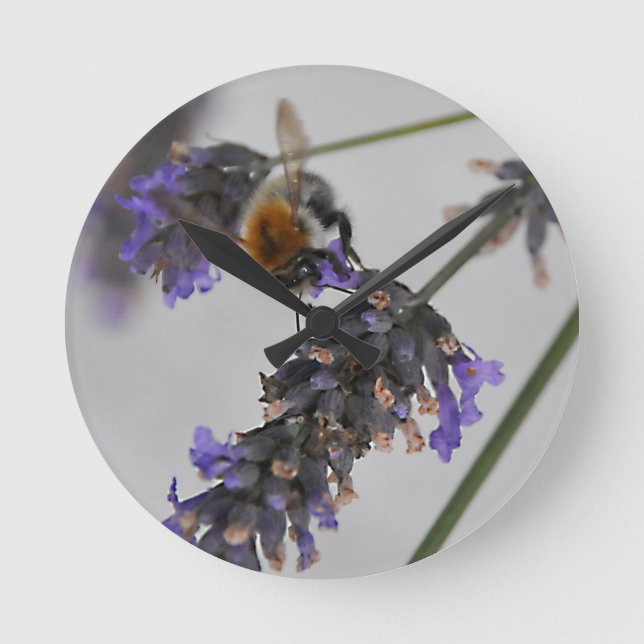 Relógio Redondo Natures WonMaravilha Workers (Frente)