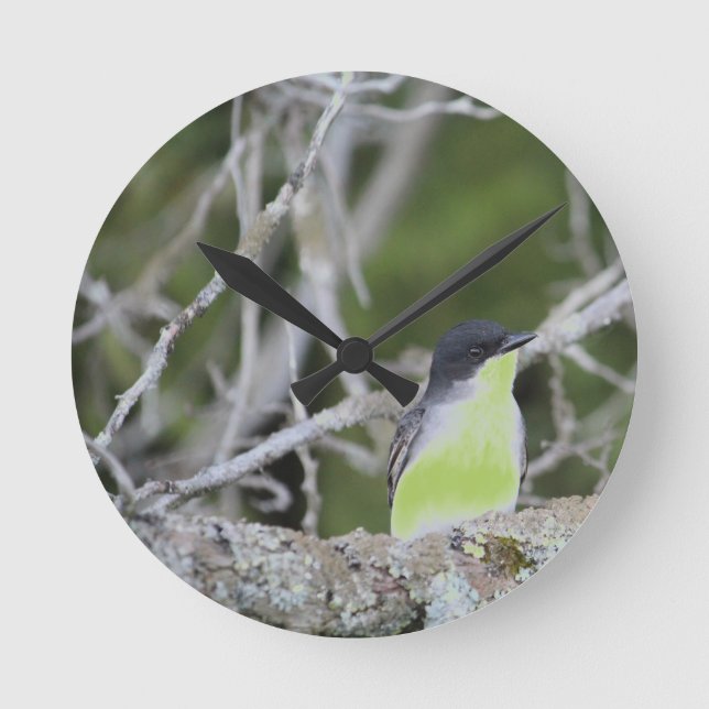 Relógio Redondo Natureza - Design inspirada (Frente)