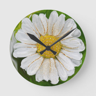 Relógio Redondo Novos começos - Poder das flores margaridas