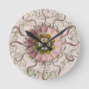 Relógio Redondo O Peromedusae de Ernst Haeckel