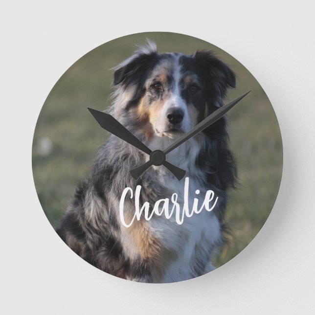 Relógio Redondo Oferta Personalizada de Fotografias de Cães de Pet (Frente)