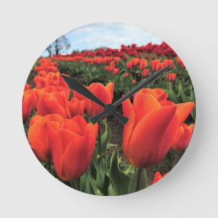 Relógio Redondo Orange Tulips in a Field, Oregon