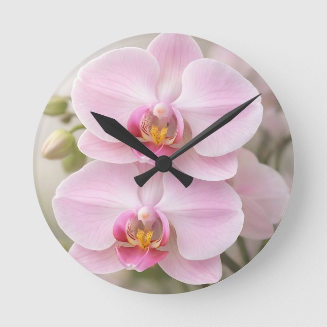 Relógio Redondo Orquídea Phalaenopsis Rosa Suave (Frente)