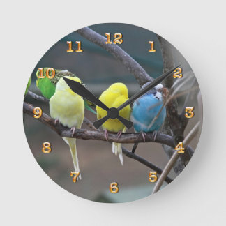 Relógio Redondo Os Parakeets Budgies repetem mecanicamente a